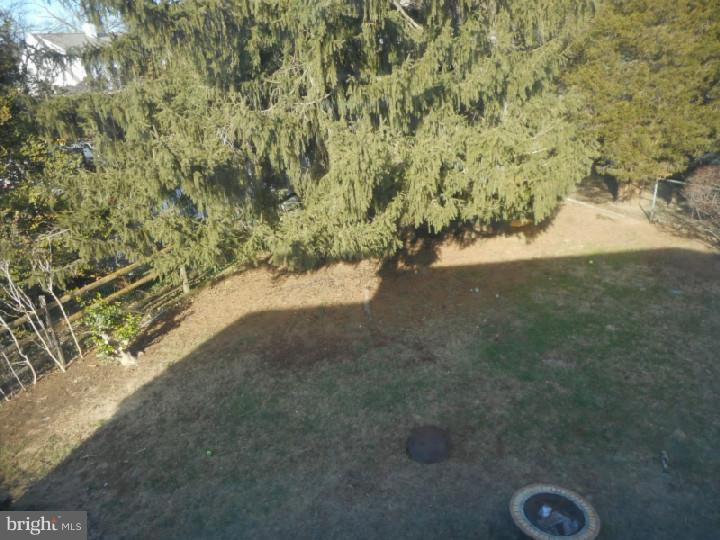 411 Ascot Road Oreland, PA 19075 - Photo 17 of 20 Back Yard