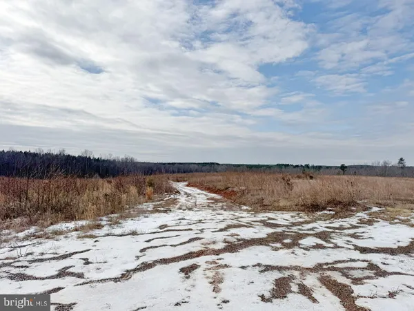 $299,900 | 0 Benton Road, Lawrenceville, VA 23868