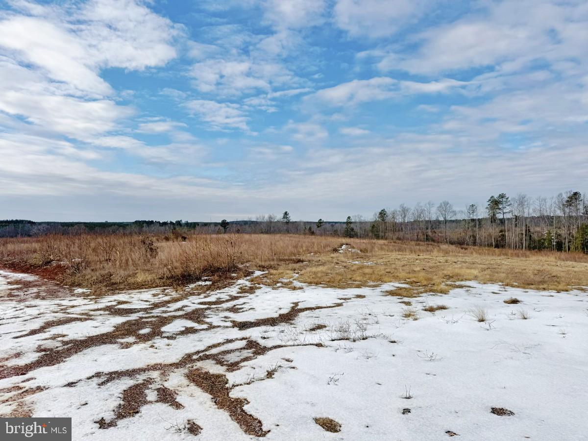 0 Benton Road Lawrenceville, VA 23868 - Photo 12 of 41