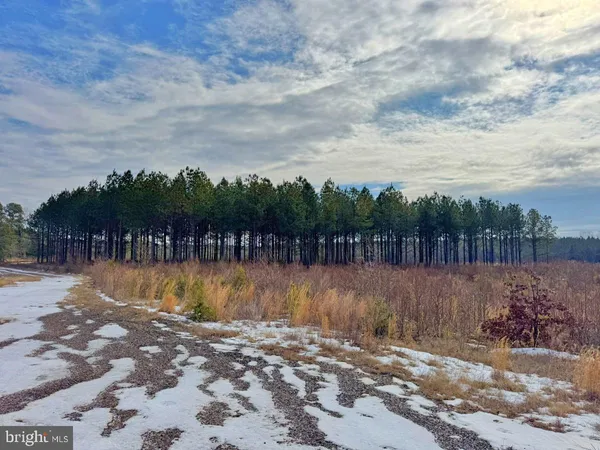 $299,900 | 0 Benton Road, Lawrenceville, VA 23868