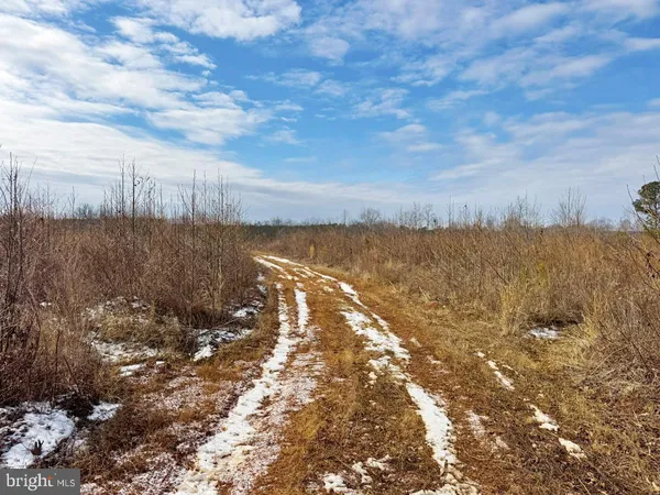 $299,900 | 0 Benton Road, Lawrenceville, VA 23868