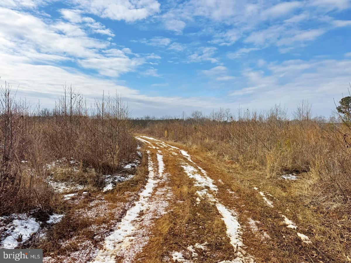 0 Benton Road Lawrenceville, VA 23868 - Photo 14 of 41