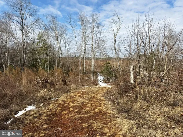 $299,900 | 0 Benton Road, Lawrenceville, VA 23868