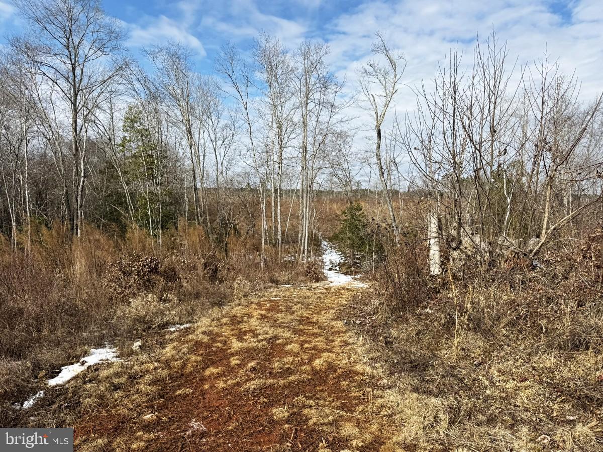 0 Benton Road Lawrenceville, VA 23868 - Photo 15 of 41