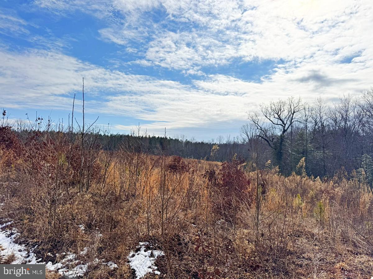 0 Benton Road Lawrenceville, VA 23868 - Photo 16 of 41