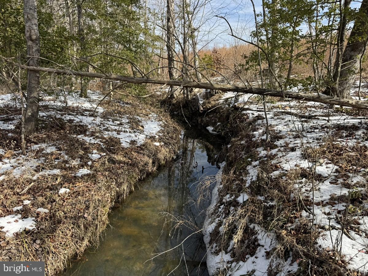 0 Benton Road Lawrenceville, VA 23868 - Photo 17 of 41