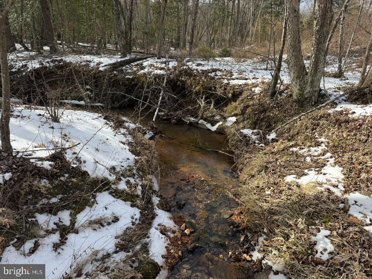 0 Benton Road Lawrenceville, VA 23868 - Photo 18 of 41