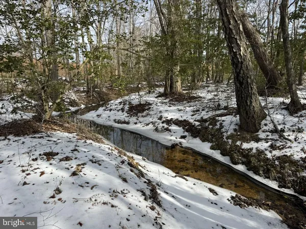 $299,900 | 0 Benton Road, Lawrenceville, VA 23868