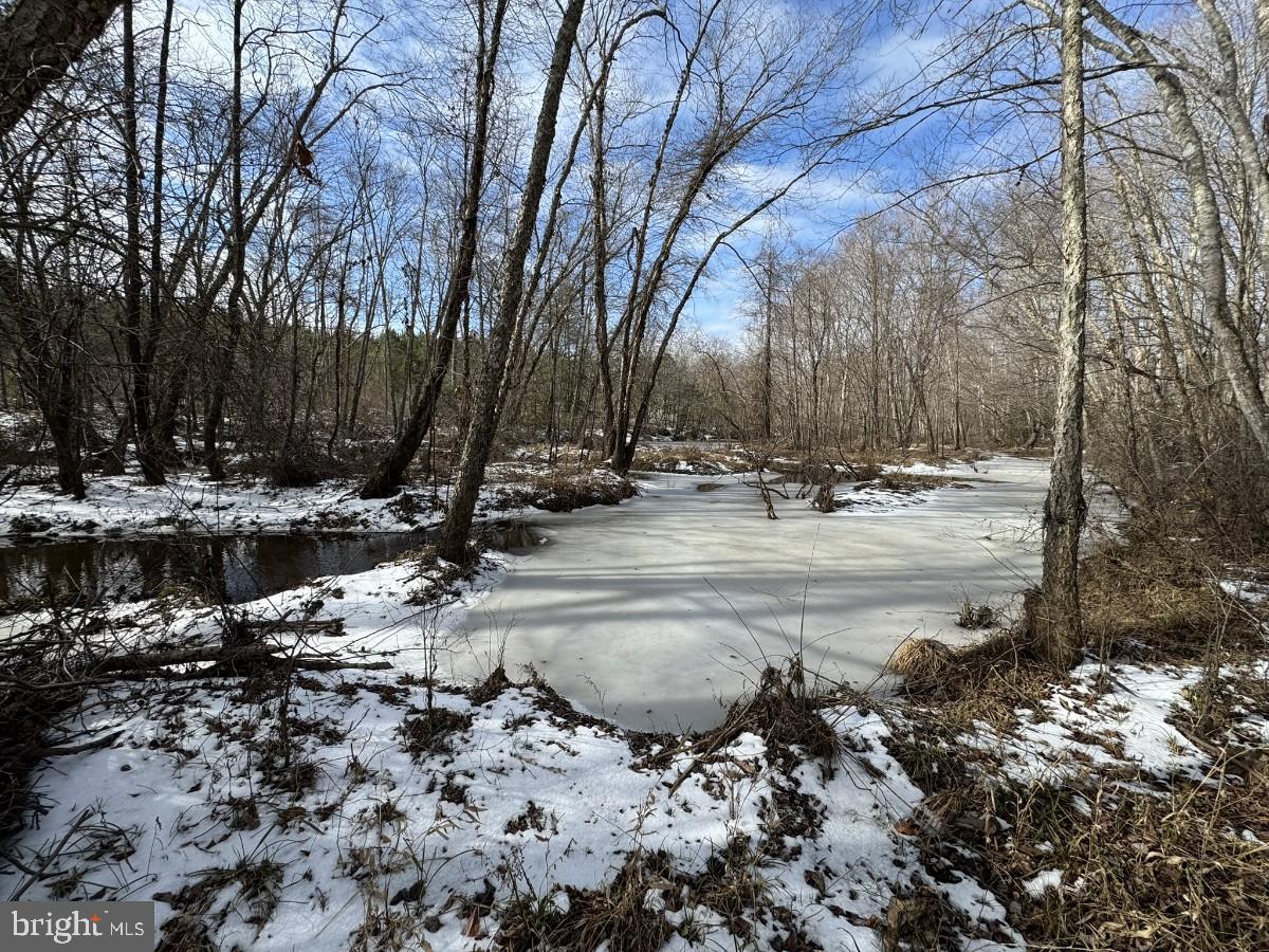 0 Benton Road Lawrenceville, VA 23868 - Photo 20 of 41