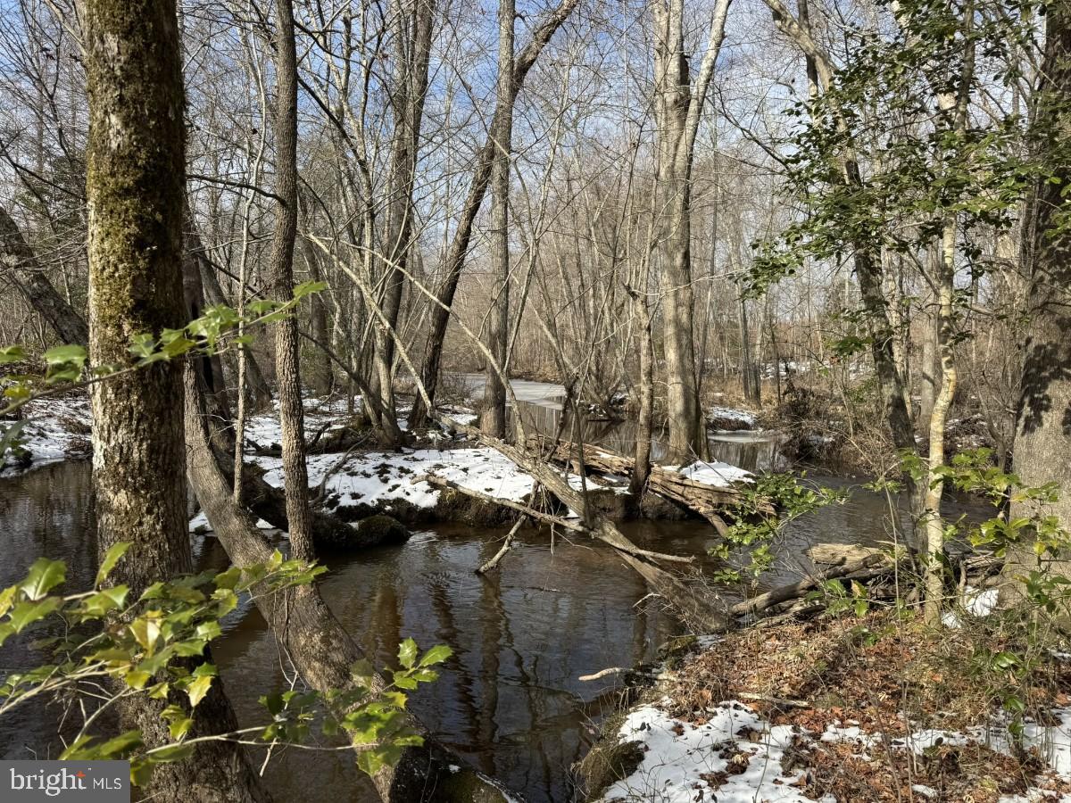 0 Benton Road Lawrenceville, VA 23868 - Photo 21 of 41