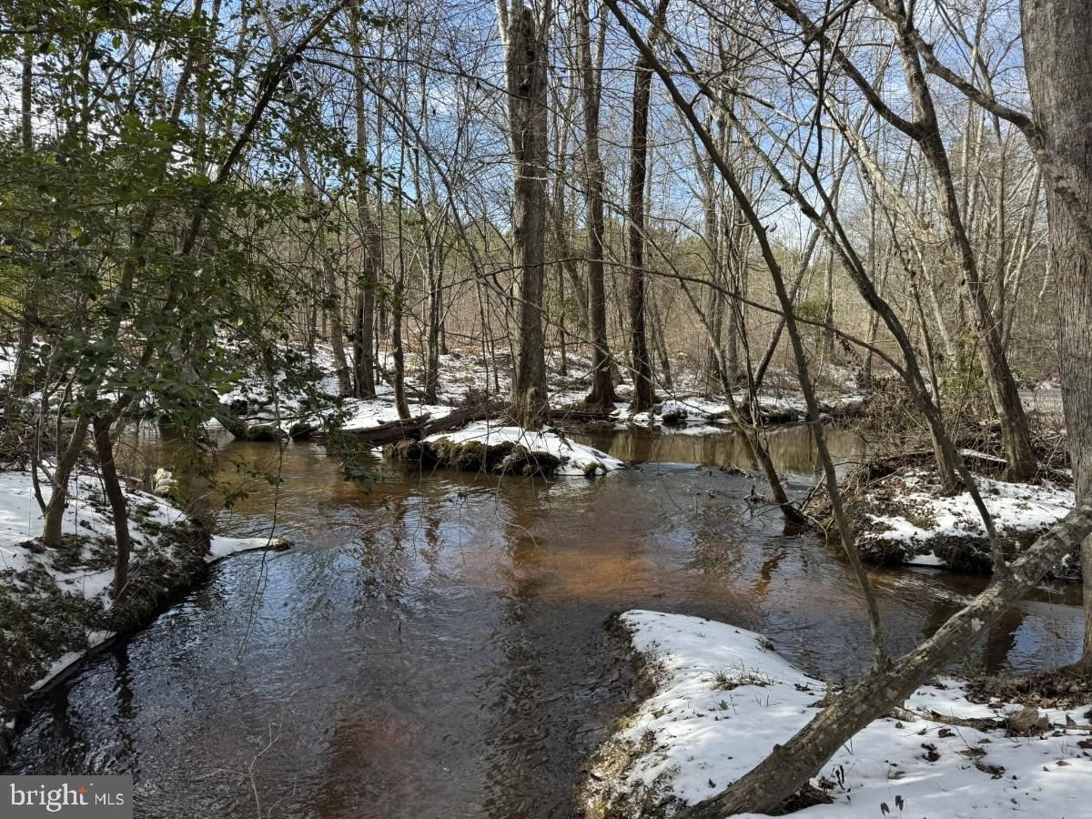 0 Benton Road Lawrenceville, VA 23868 - Photo 22 of 41