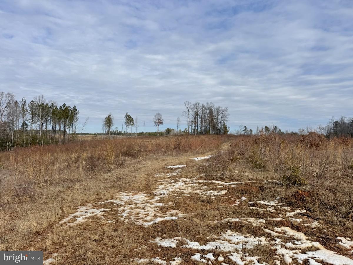 0 Benton Road Lawrenceville, VA 23868 - Photo 25 of 41