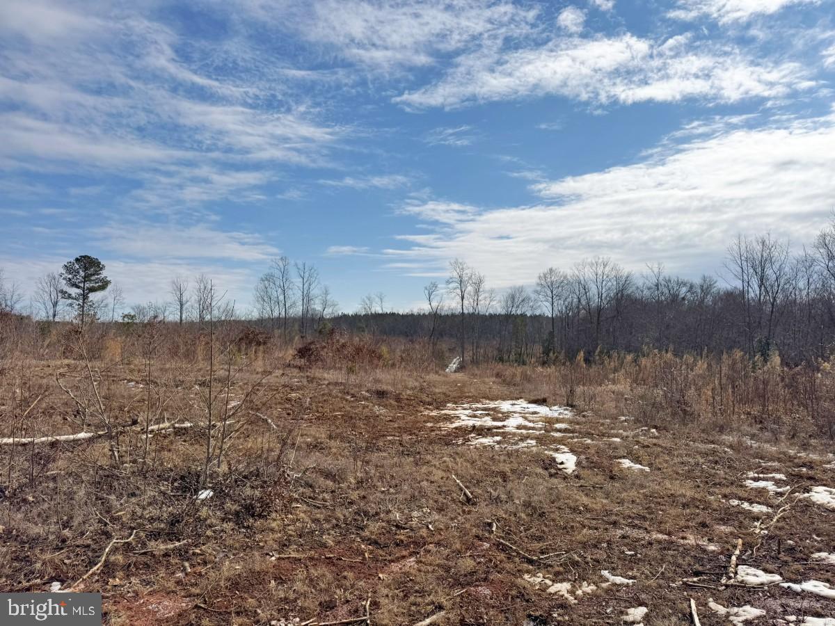 0 Benton Road Lawrenceville, VA 23868 - Photo 26 of 41