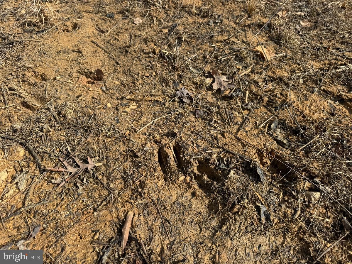 0 Benton Road Lawrenceville, VA 23868 - Photo 27 of 41