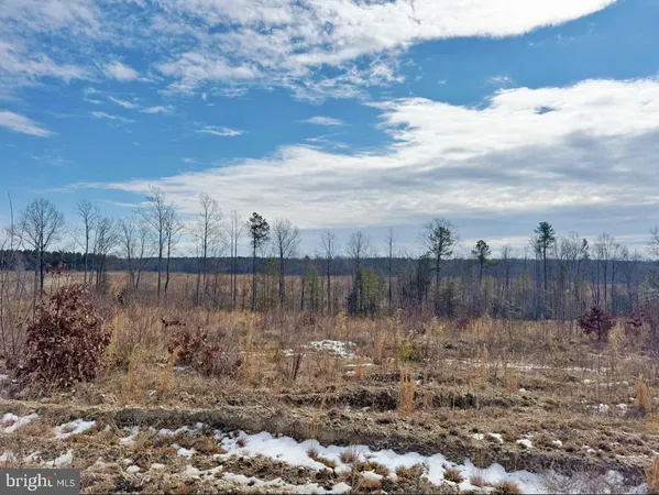 $299,900 | 0 Benton Road, Lawrenceville, VA 23868