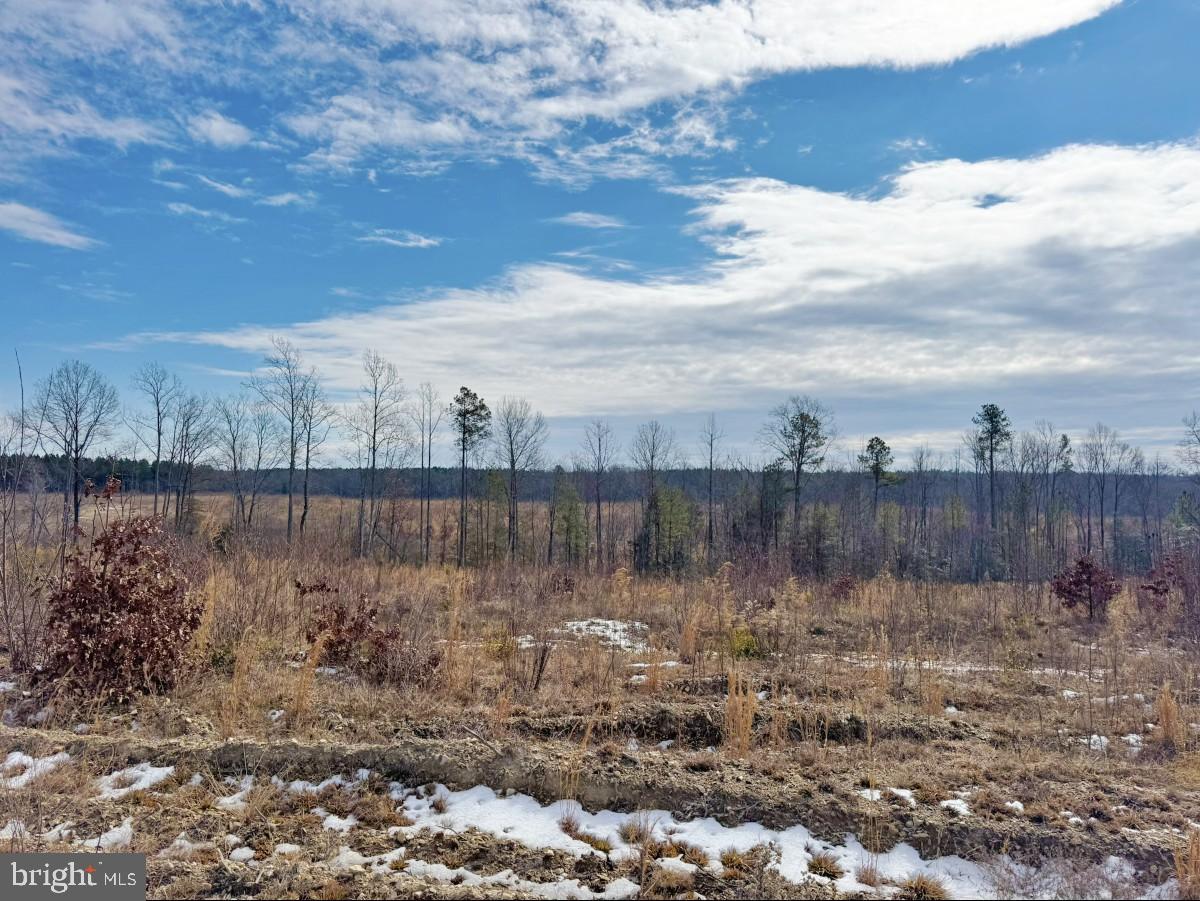 0 Benton Road Lawrenceville, VA 23868 - Photo 28 of 41