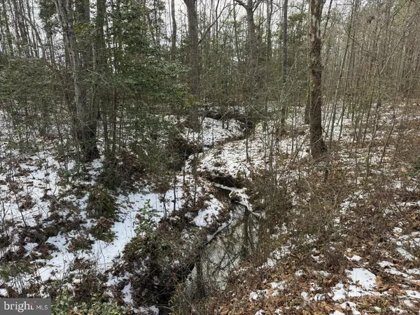 $299,900 | 0 Benton Road, Lawrenceville, VA 23868