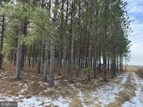 $299,900 | 0 Benton Road, Lawrenceville, VA 23868