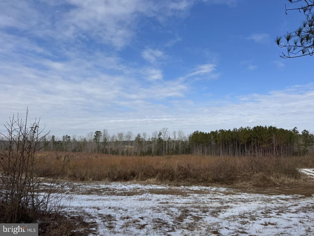 0 Benton Road Lawrenceville, VA 23868 - Photo 32 of 41