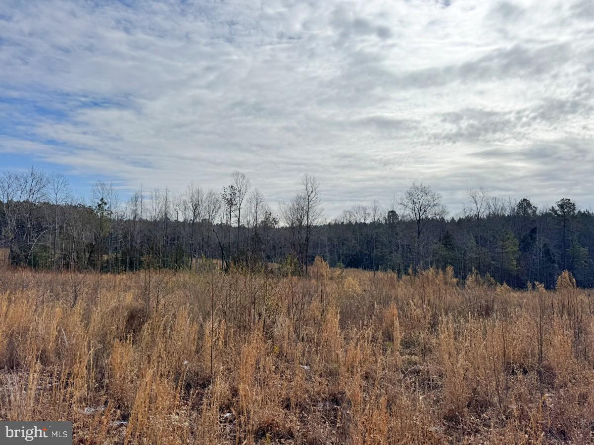 0 Benton Road Lawrenceville, VA 23868 - Photo 33 of 41