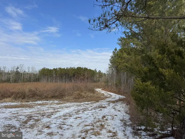 $299,900 | 0 Benton Road, Lawrenceville, VA 23868