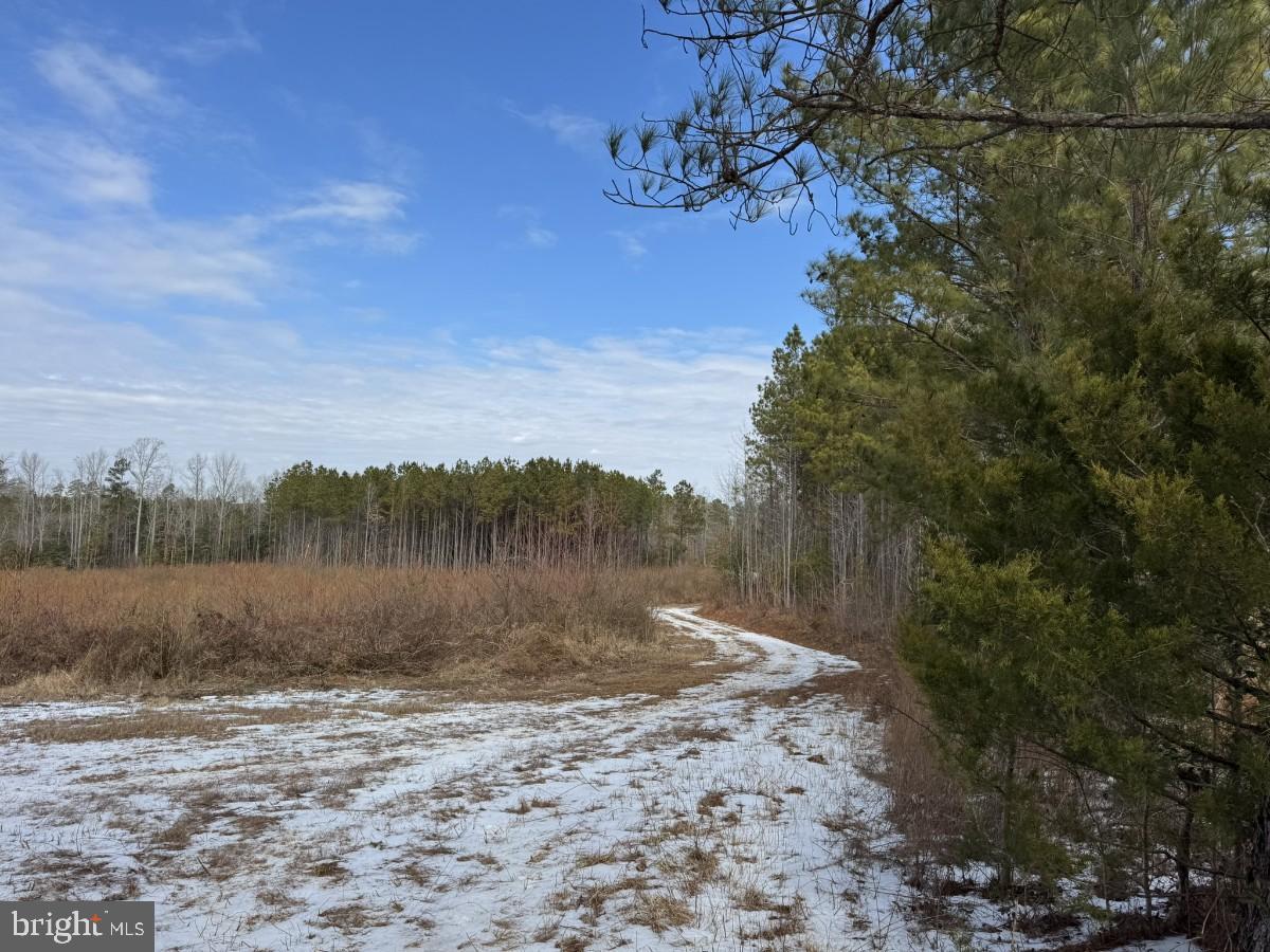 0 Benton Road Lawrenceville, VA 23868 - Photo 34 of 41