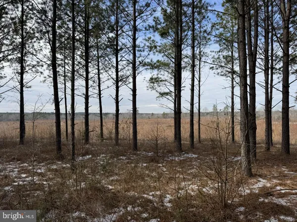 $299,900 | 0 Benton Road, Lawrenceville, VA 23868