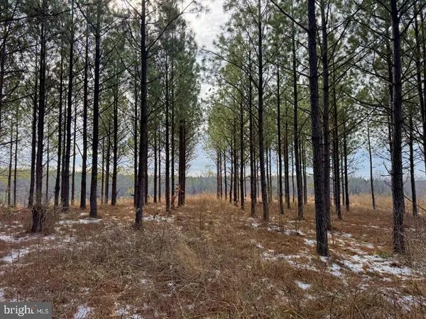 $299,900 | 0 Benton Road, Lawrenceville, VA 23868