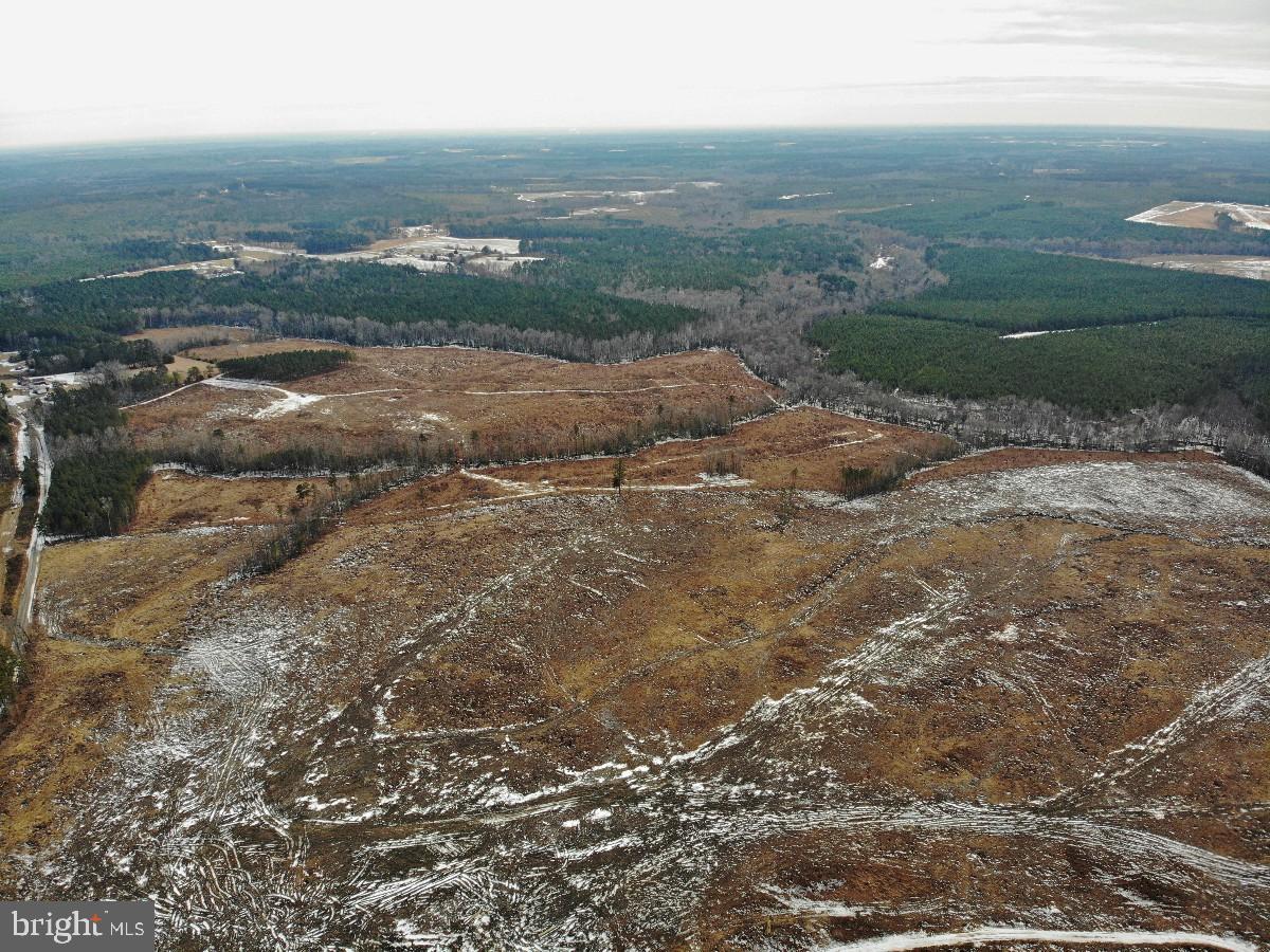 0 Benton Road Lawrenceville, VA 23868 - Photo 40 of 41