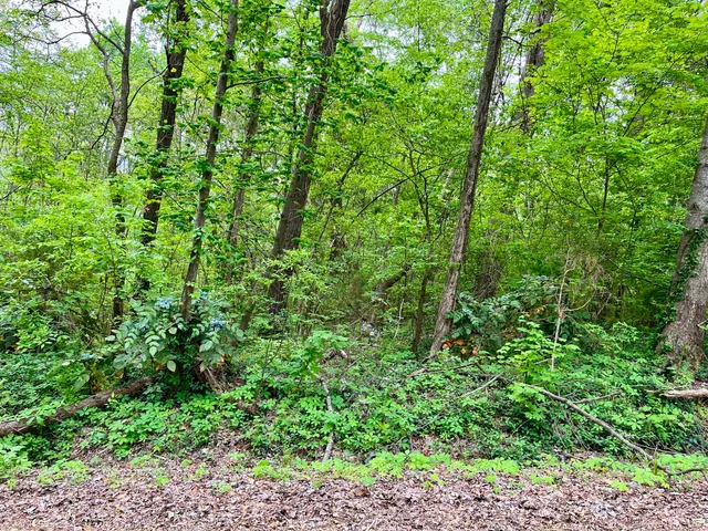 $24,000 | Lot 21 Omega Drive, Whitwell, TN 37397