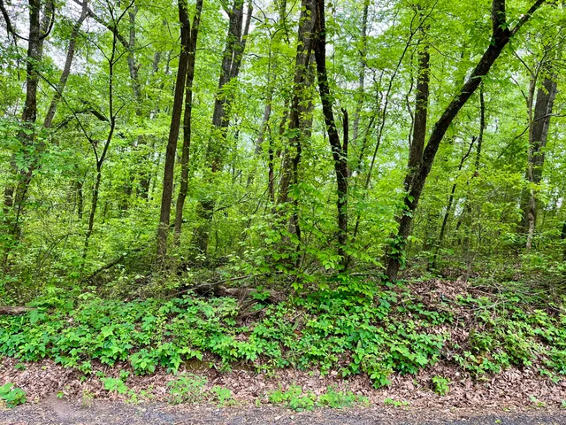 $24,000 | Lot 21 Omega Drive, Whitwell, TN 37397