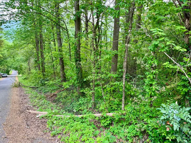 $24,000 | Lot 21 Omega Drive, Whitwell, TN 37397