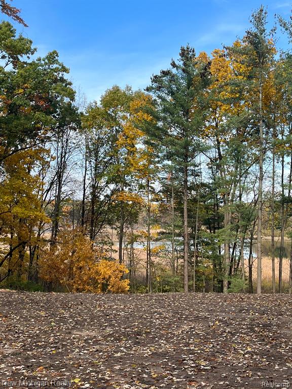 11461 White Lake Road Fenton, MI 48430 - Photo 24 of 33