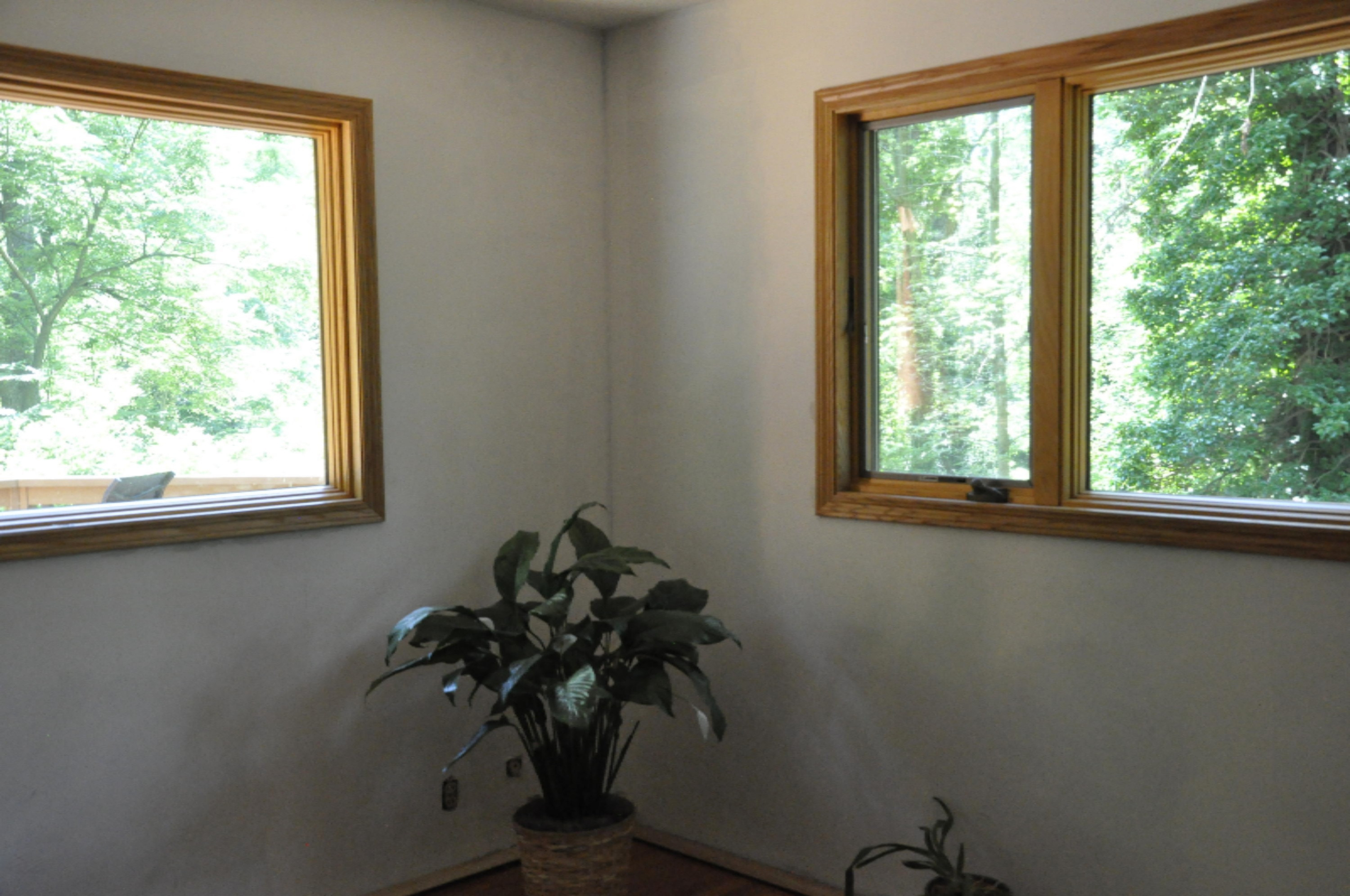 978 Vineland Road St. Joseph, MI 49085 - Photo 14 of 24 Master Windows