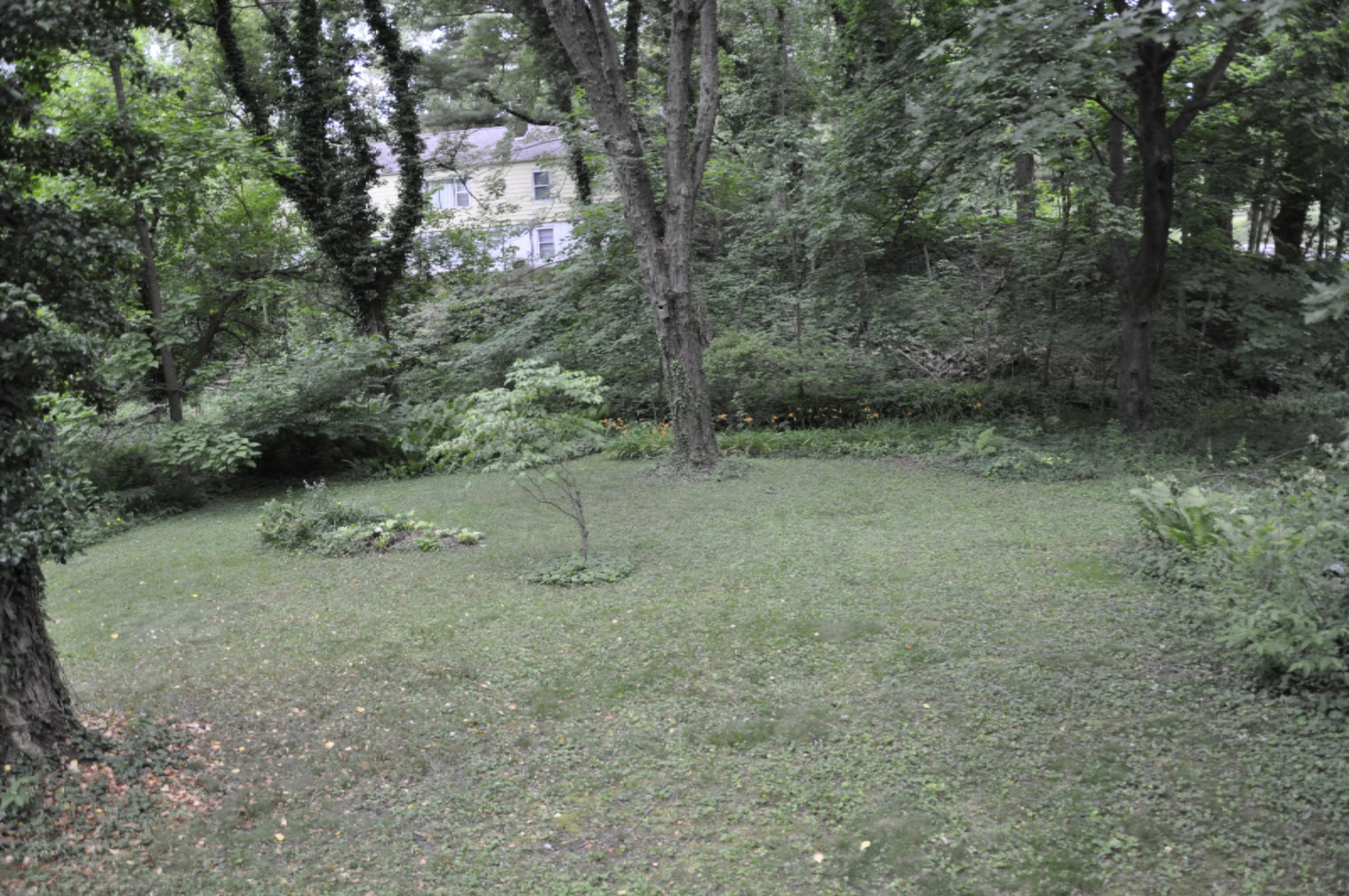 978 Vineland Road St. Joseph, MI 49085 - Photo 5 of 24 side yard