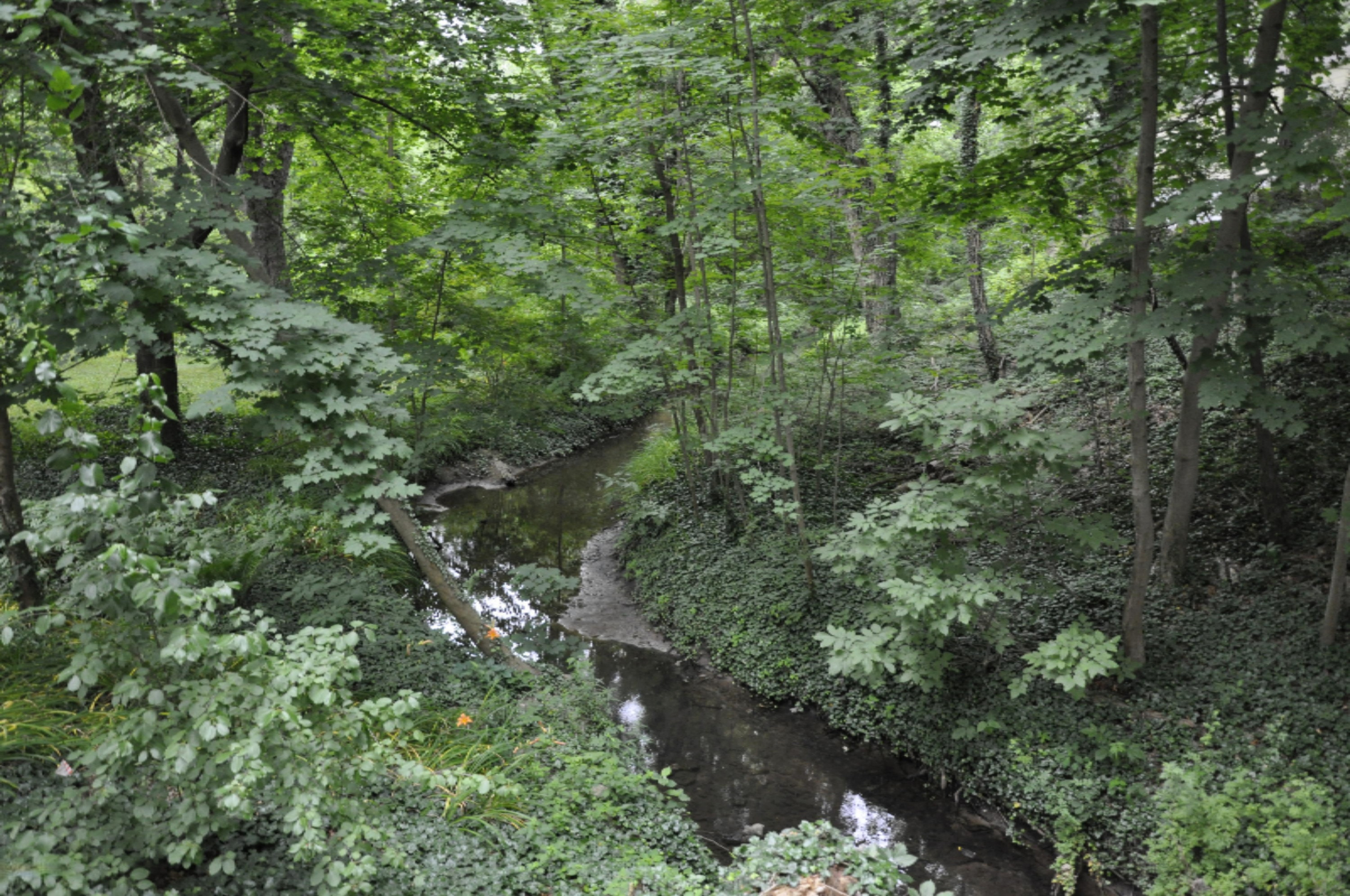 978 Vineland Road St. Joseph, MI 49085 - Photo 6 of 24 The Stream