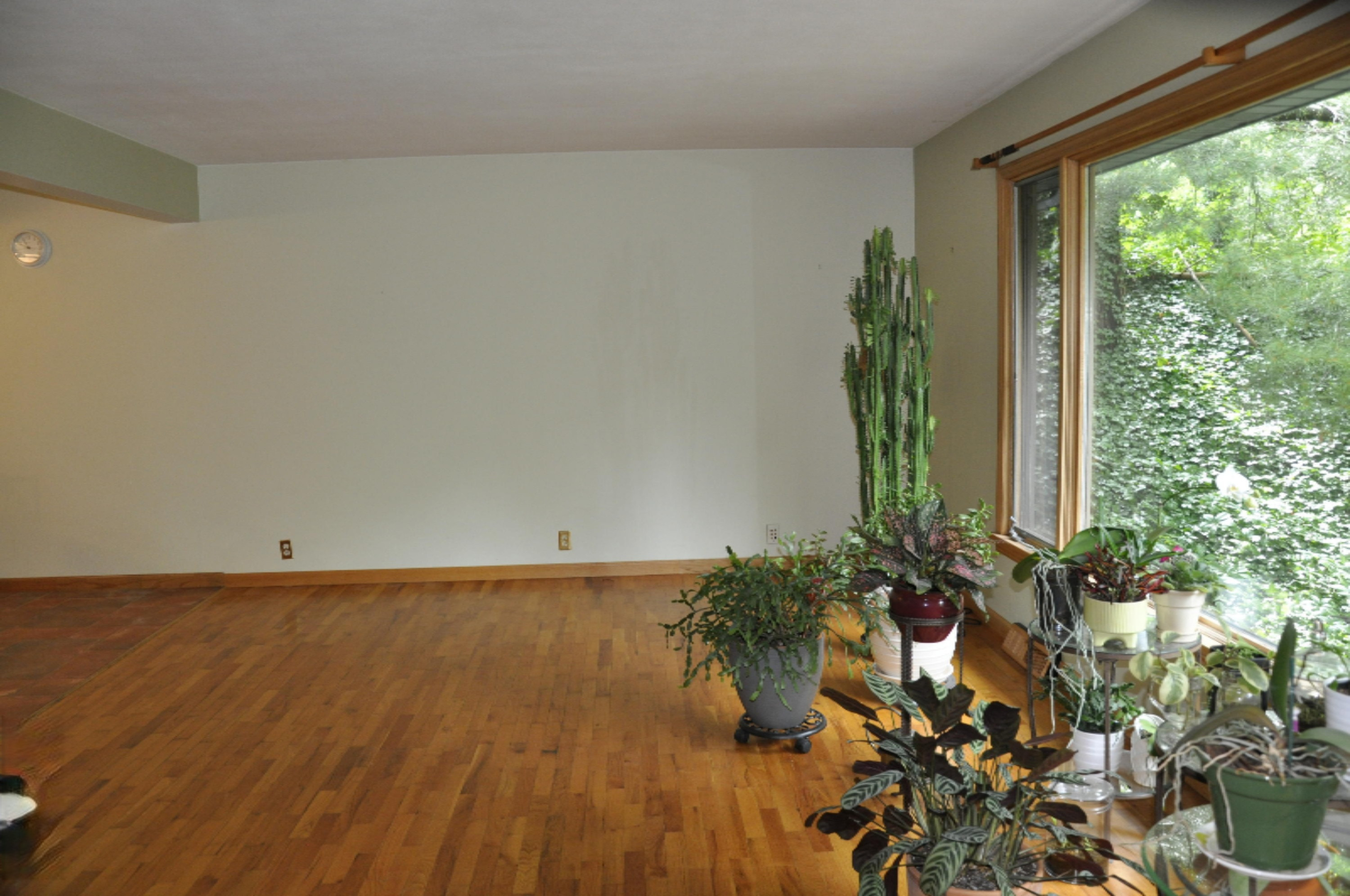 978 Vineland Road St. Joseph, MI 49085 - Photo 8 of 24 Living Room