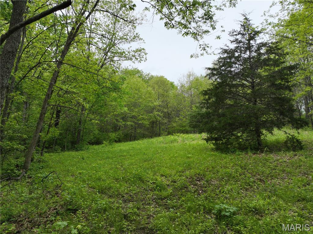 110 Spring House Lane Troy, MO 63379 - Photo 10 of 14