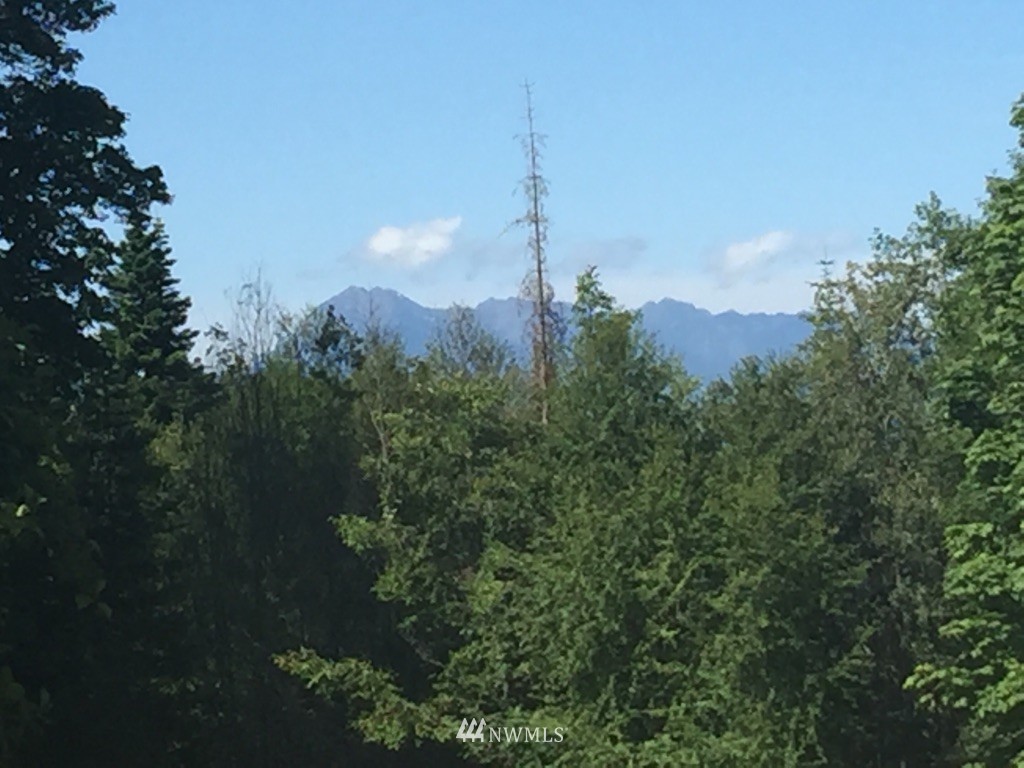 -xxx Ravens Ridge Road Sequim, WA 98382 - Photo 2 of 8