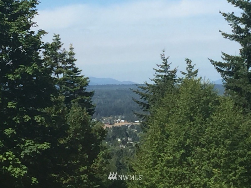 -xxx Ravens Ridge Road Sequim, WA 98382 - Photo 3 of 8