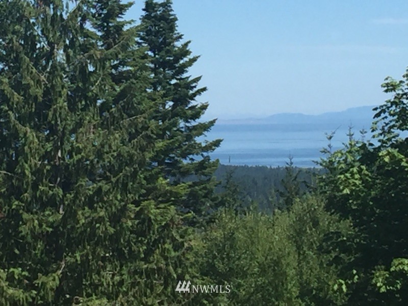 -xxx Ravens Ridge Road Sequim, WA 98382 - Photo 4 of 8