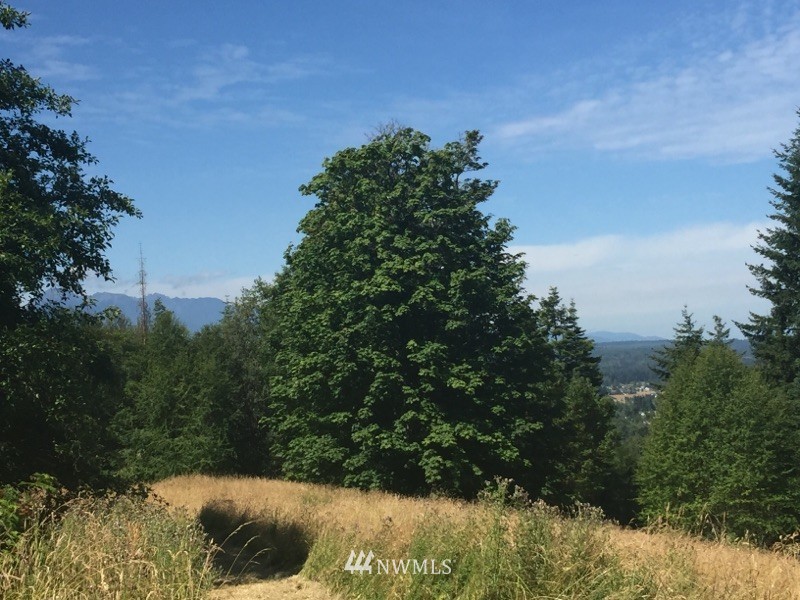 -xxx Ravens Ridge Road Sequim, WA 98382 - Photo 5 of 8