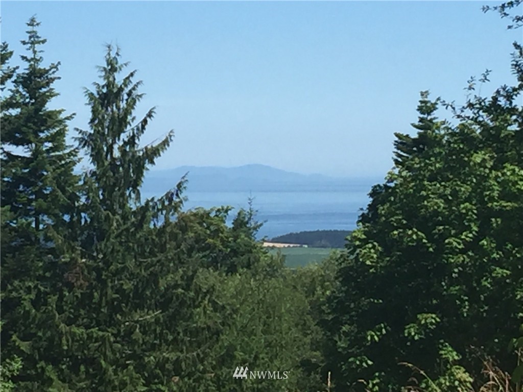 -xxx Ravens Ridge Road Sequim, WA 98382 - Photo 7 of 8