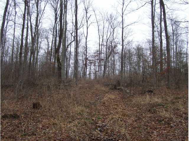 0 East Speed Road Milltown, IN 47145 - Photo 3 of 6