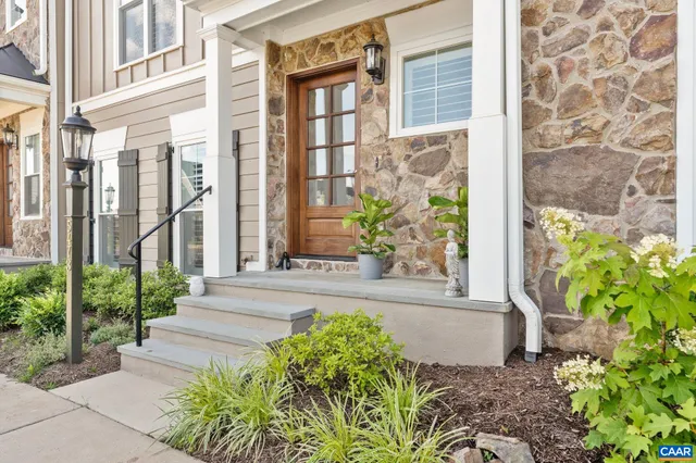 an entryway with wooden floor and a potted plant