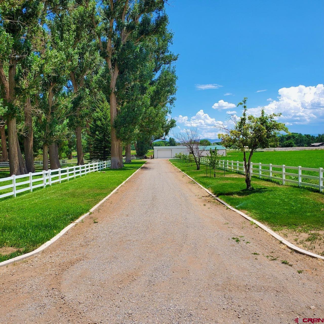 15318 6100th Road Montrose, CO 81403 - Photo 2 of 35 a view of a park and trees with a big yard