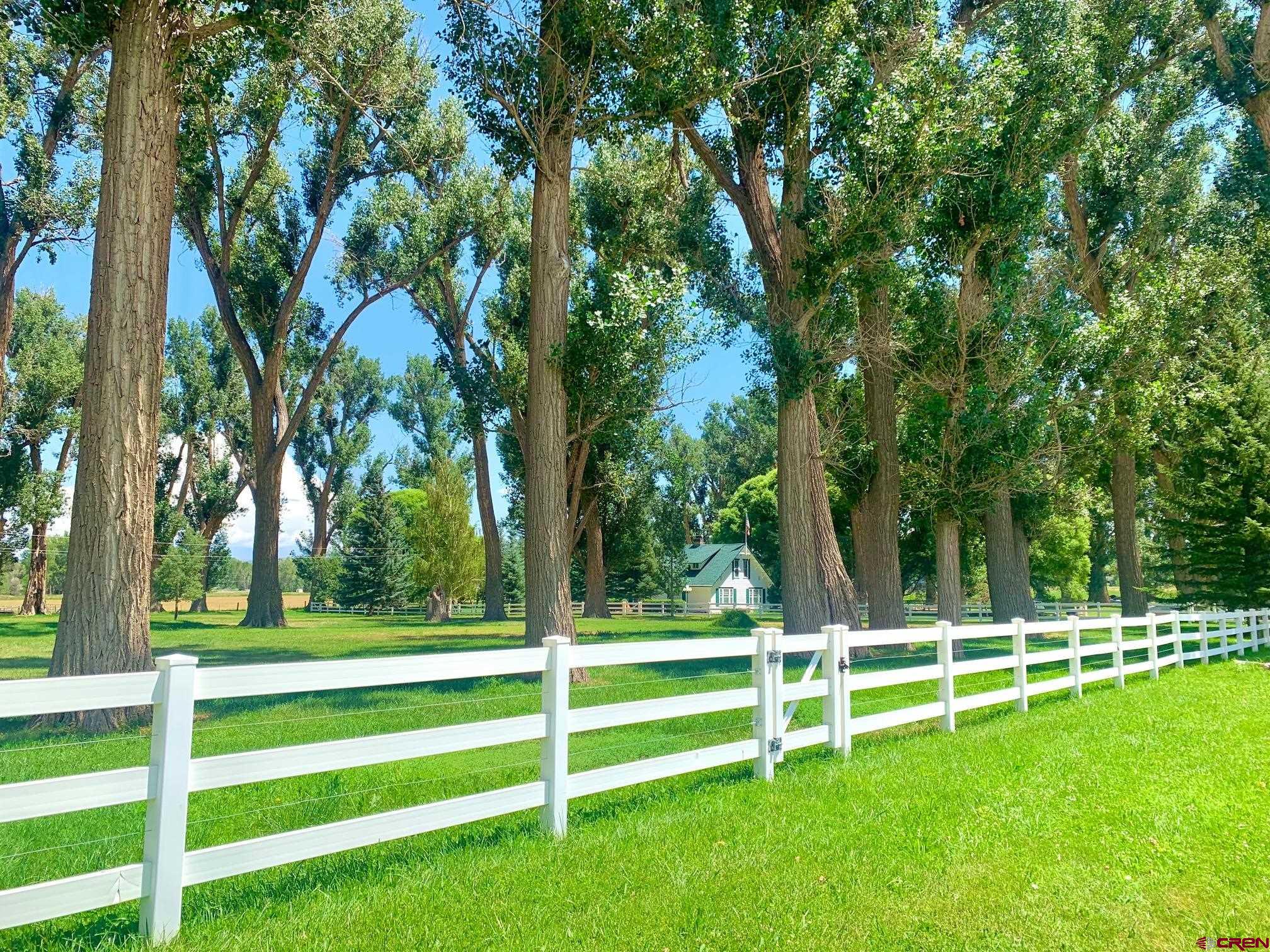 15318 6100th Road Montrose, CO 81403 - Photo 3 of 35 a view of park with trees