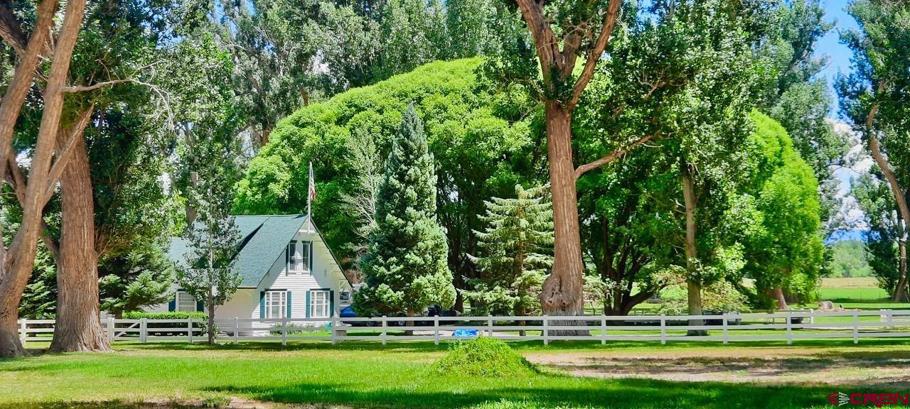 15318 6100th Road Montrose, CO 81403 - Photo 4 of 35 a view of a house with a yard