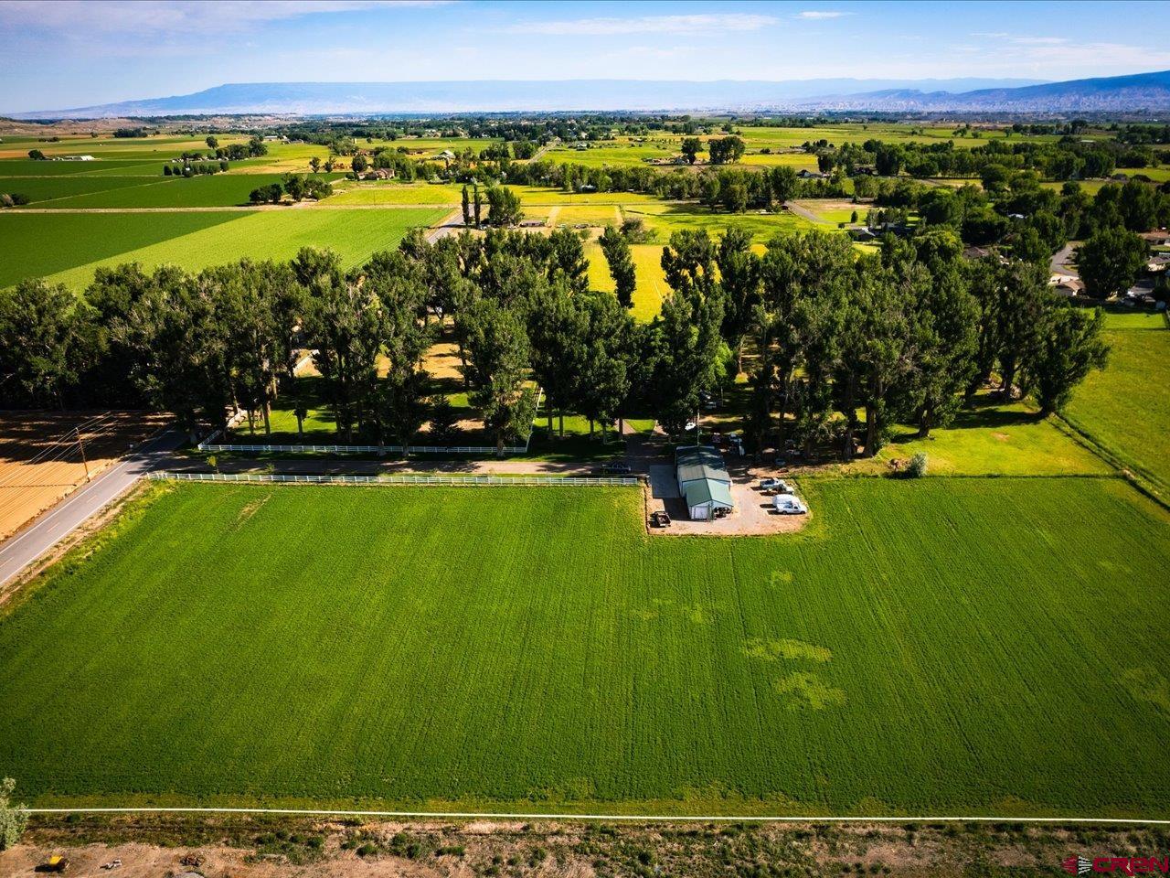 15318 6100th Road Montrose, CO 81403 - Photo 5 of 35