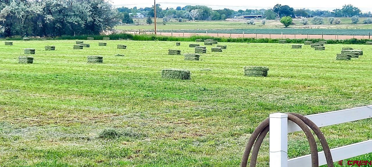 15318 6100th Road Montrose, CO 81403 - Photo 8 of 35 a view of a green field with clear sky